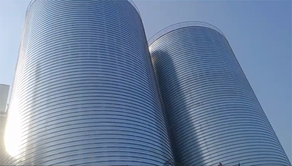 西畴2座混凝土高架卷板仓